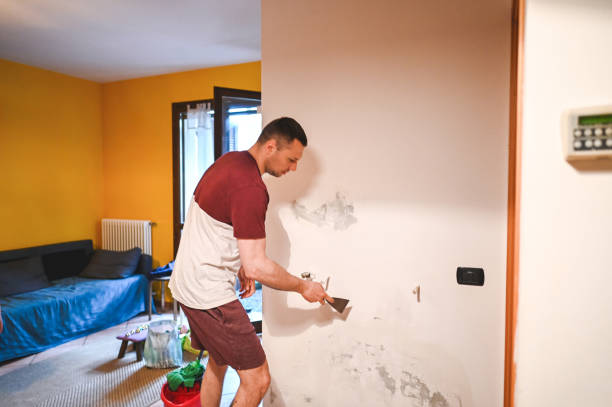 Best Post-Flood Mold Remediation in Glendale, WI